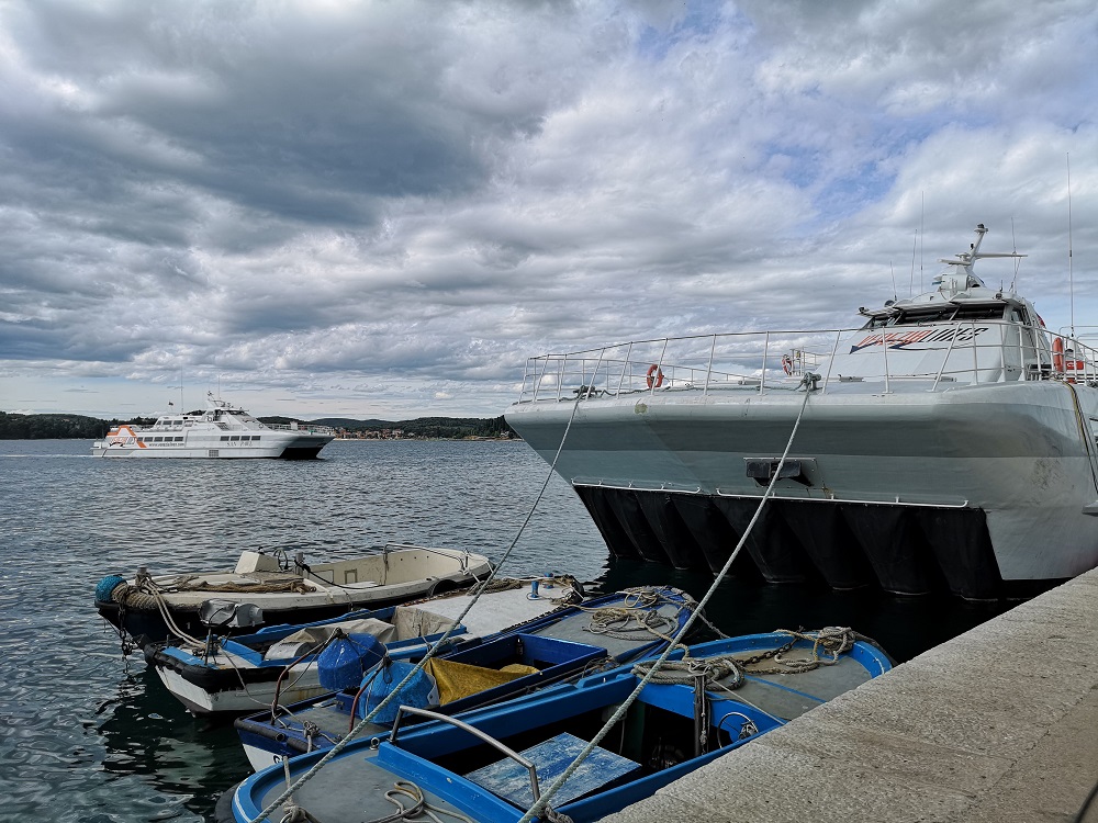 San Frangisk katamarán